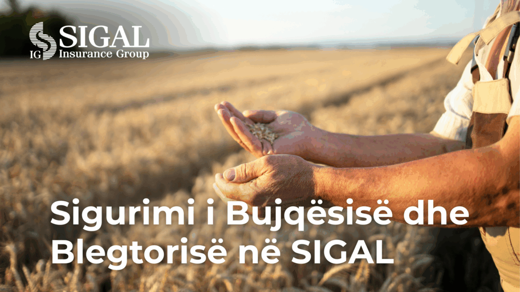 Fermeri shqiptar nën presionin e ndryshimeve klimatike, Ponari: Sigurimi bujqësor zgjidhja e duhur