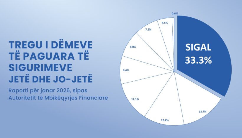 WhatsApp Image 2026-03-19 at 11.25.29 WhatsApp Image 2026-03-19 at 11.25.29