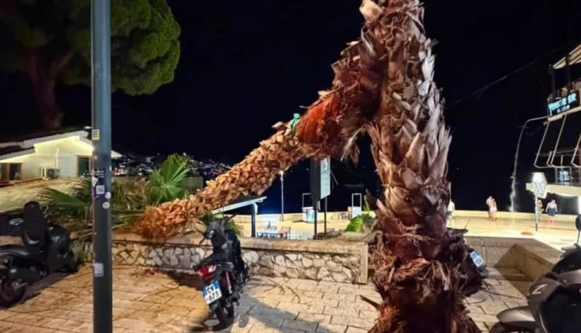 100118_stuhia-sarande_utv